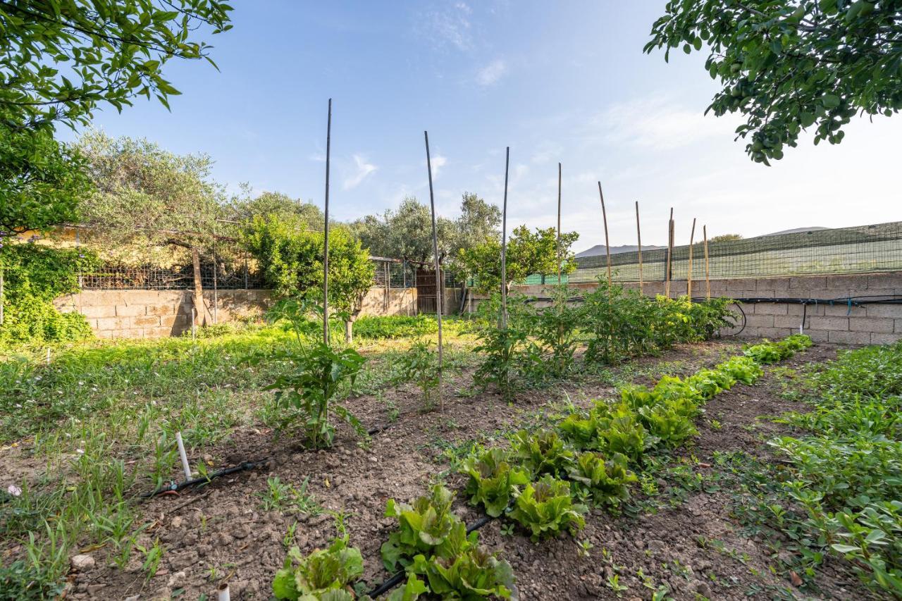 Casa Vacanze San Giovanni San Giovanni Suèrgiu Esterno foto